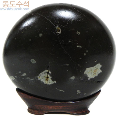 거북이와토끼