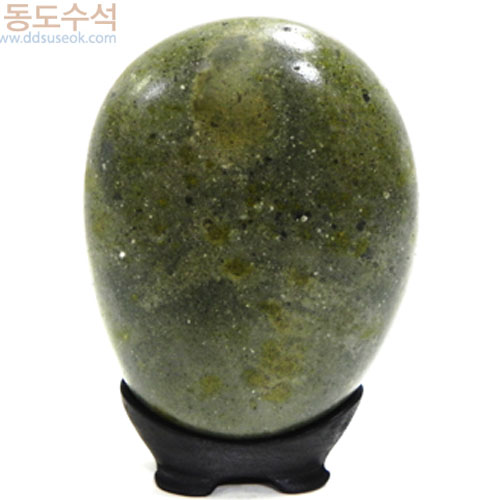 숲속에월