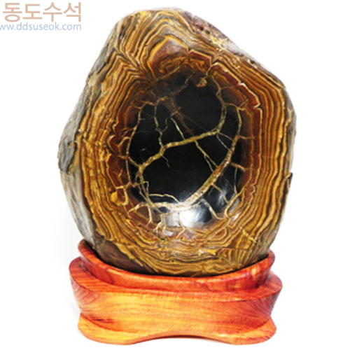 구갑석