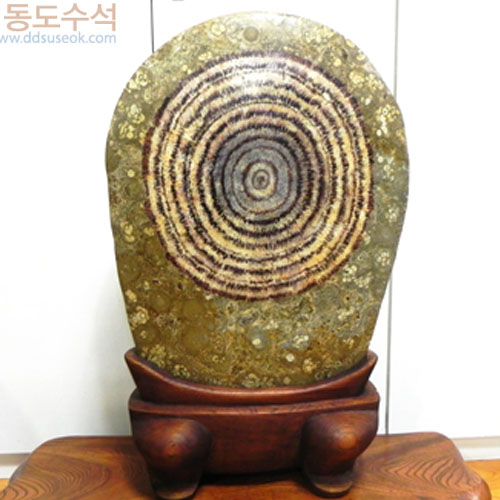 해바라기