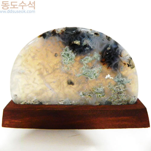 나무