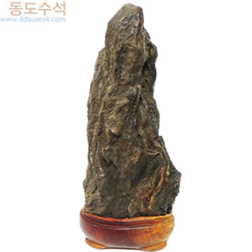 입석쬬코