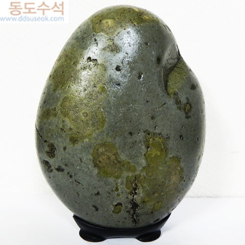 새봄