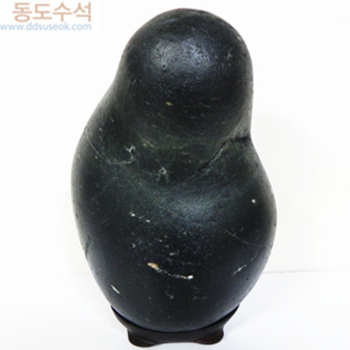 사유석