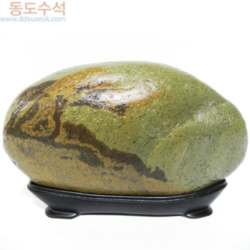 동산에고목나무