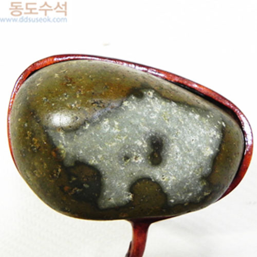 버팔로