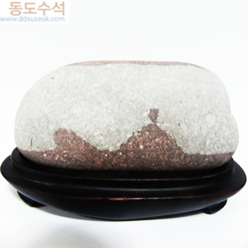 언덕위에나무