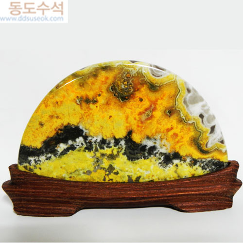설악에단풍
