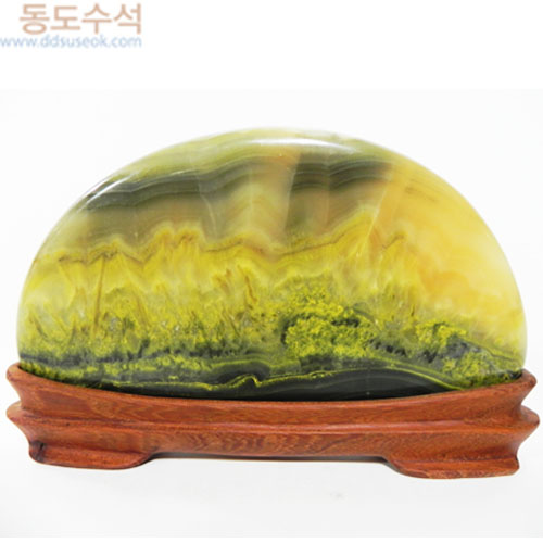 유채꽃밭