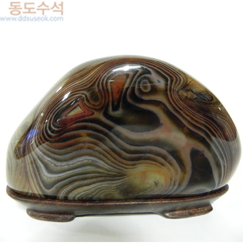 물결문위