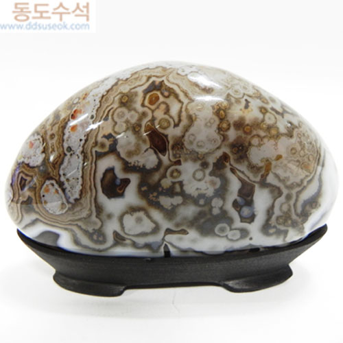 나무숲