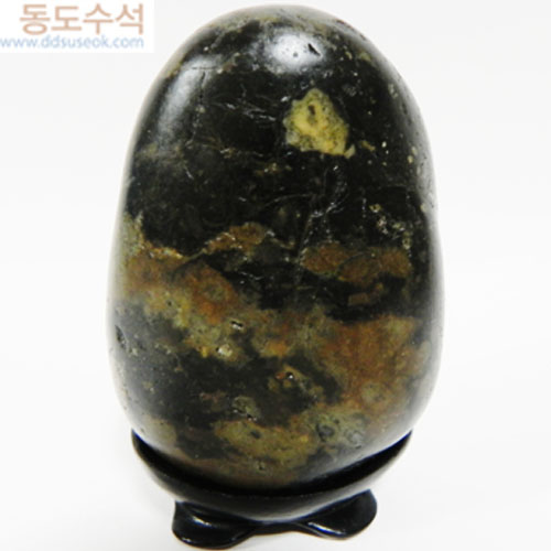 숲속에월