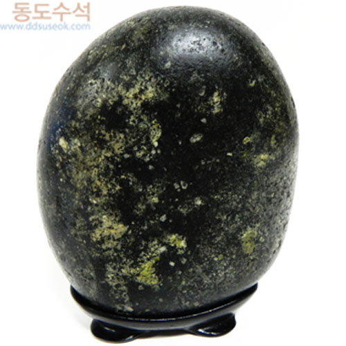 해바라기