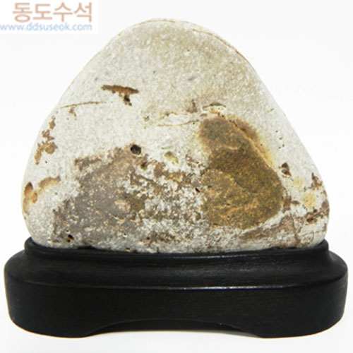 동산에토끼