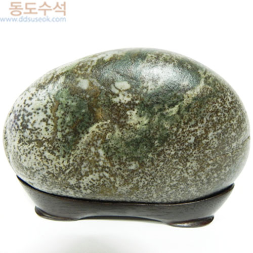 이른봄풍경