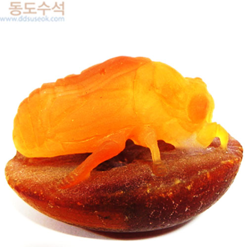 벌(자연마노조각)