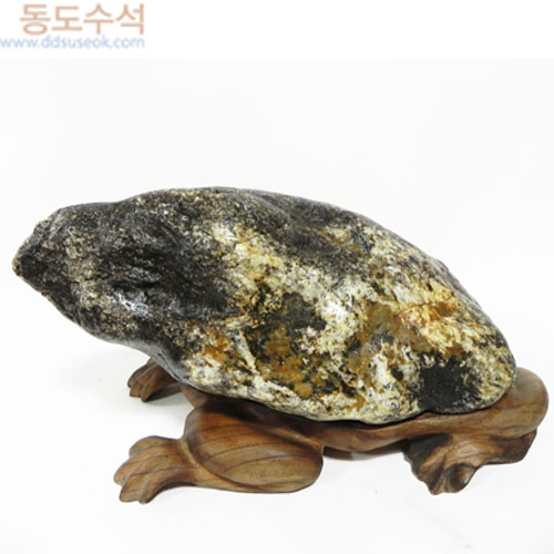 호피멫돼지