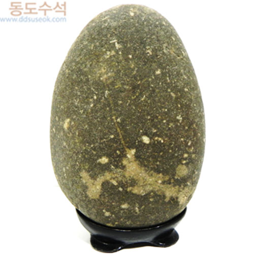 나무꽃