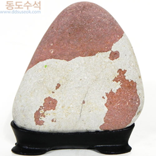 노인과아이