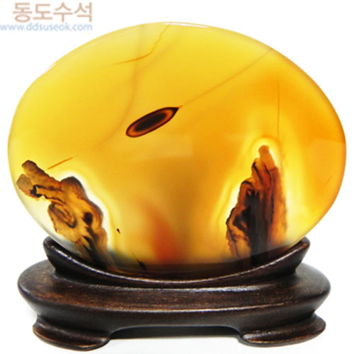 구도자뒤모습
