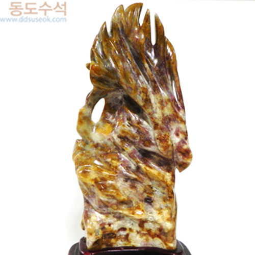 산호화석(광물옥)
