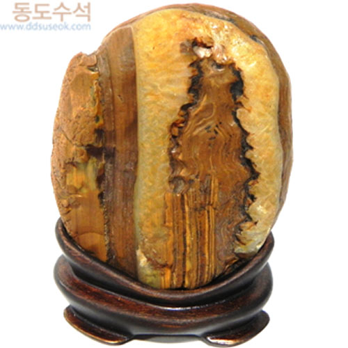 봉황새(자연마노)
