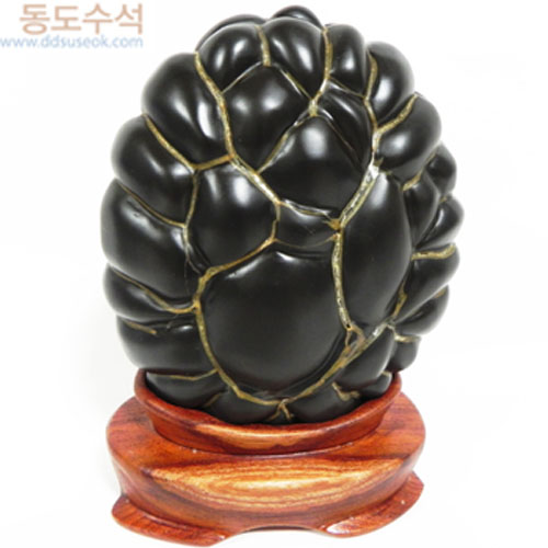 구갑석