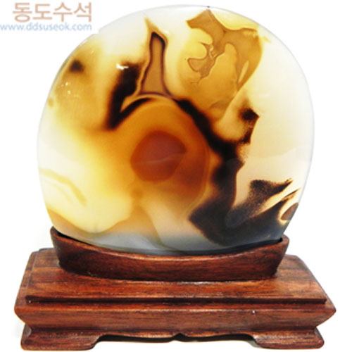 나무