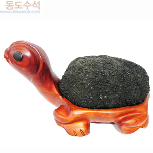 거북