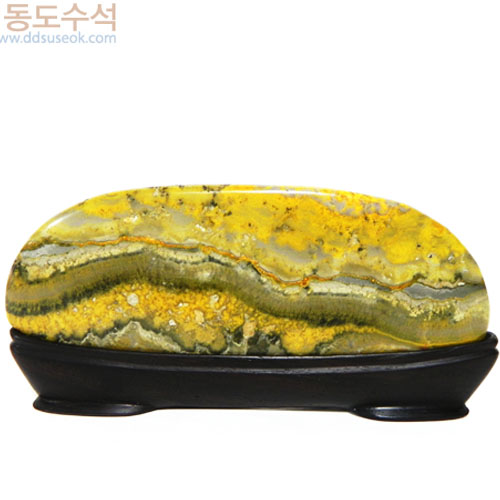 유체동산
