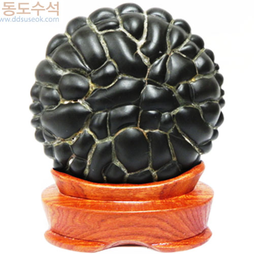 구갑석