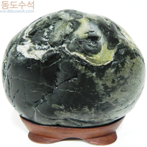 학에비상