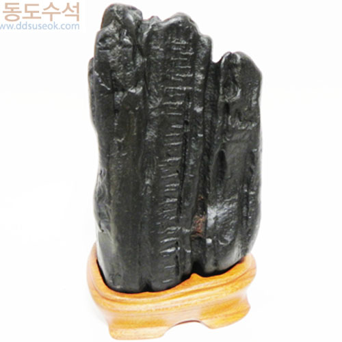 주름입석