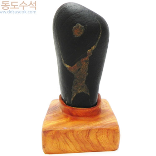 나무사이태양