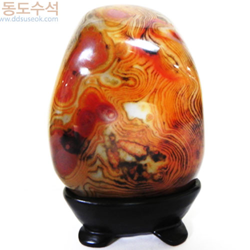 열광