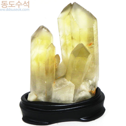 황수정