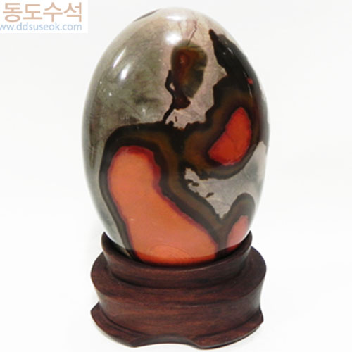 언덕위에나무