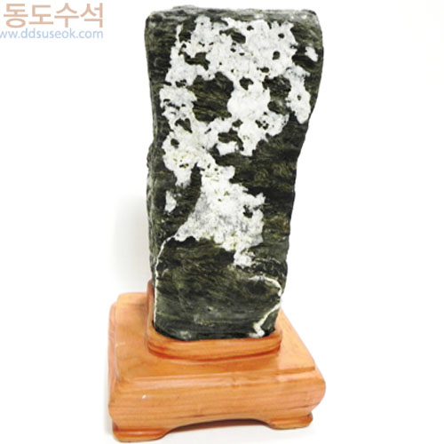 천년송