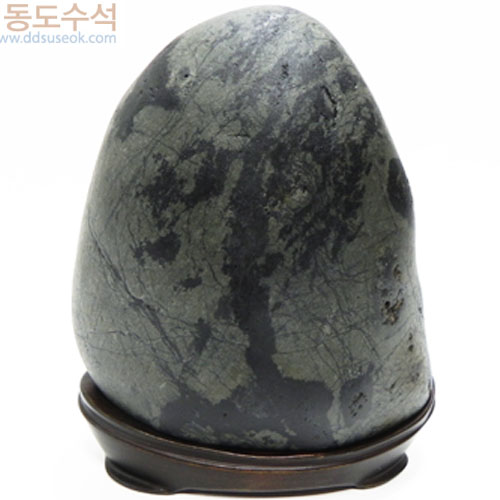 동산에나무