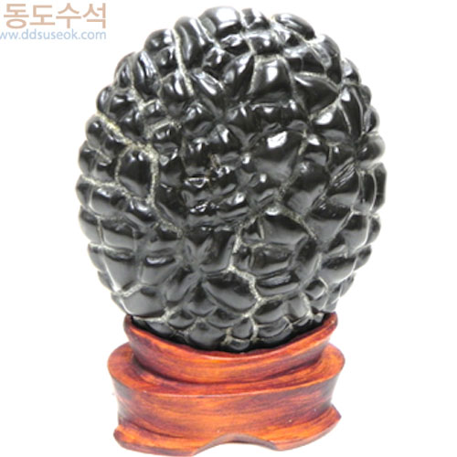구갑석