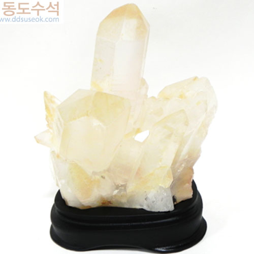 백수정