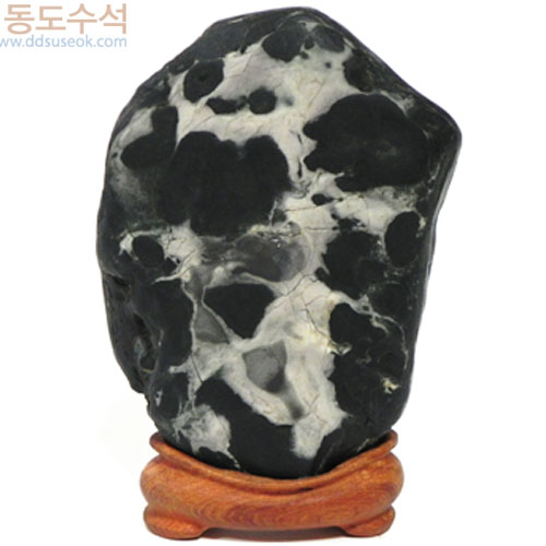 양궁선수