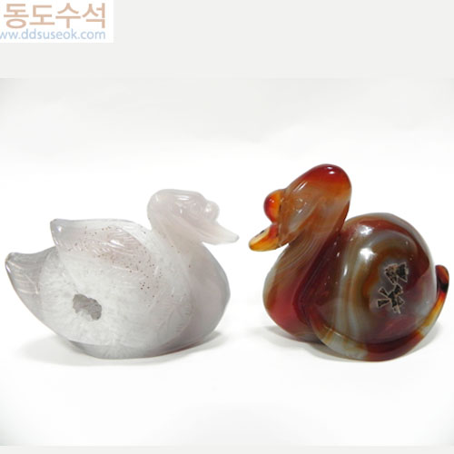 원앙