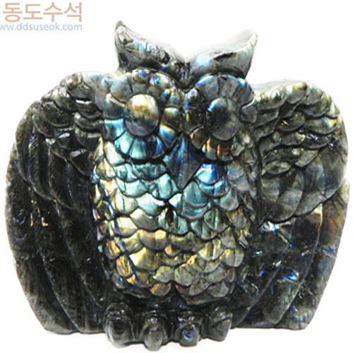 부엉이(네브라도라이트)
