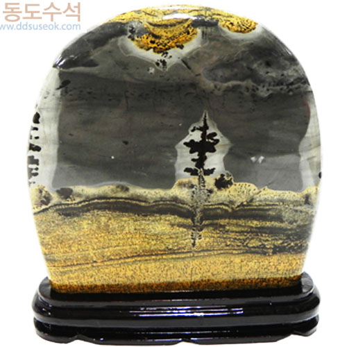 나무