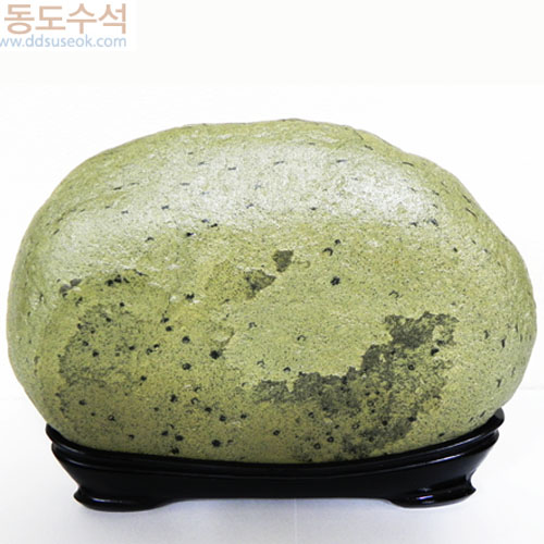 바위에군조