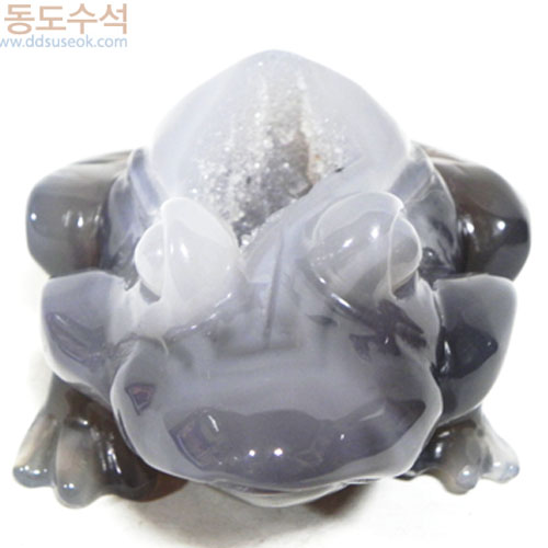 왕눈이개구리