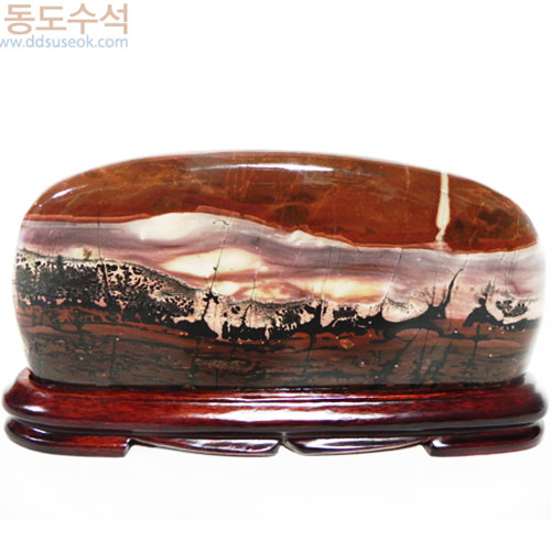 해변수림풍경