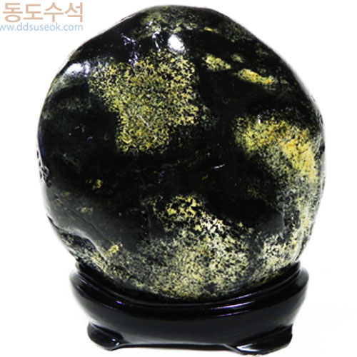 체크황칼라