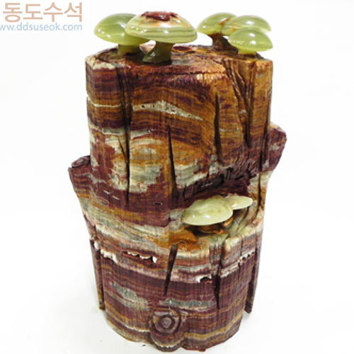 마노버섯